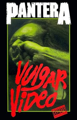 Pantera - Vulgar Video