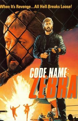 Code Name Zebra