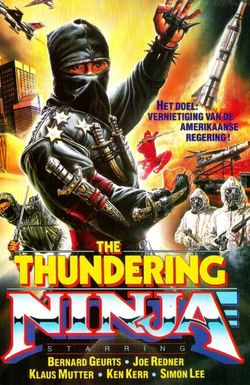 Thundering Ninja