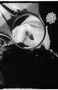 Hedy