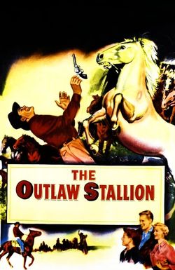 The Outlaw Stallion