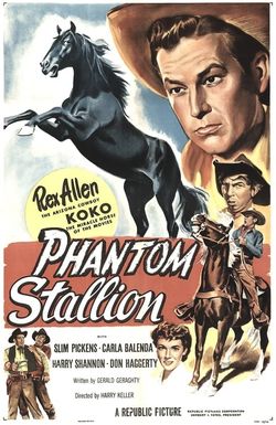 Phantom Stallion