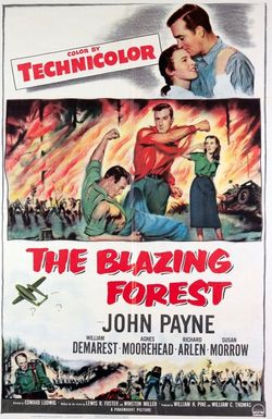 The Blazing Forest