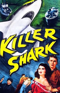 Killer Shark