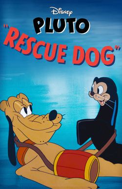Rescue Dog