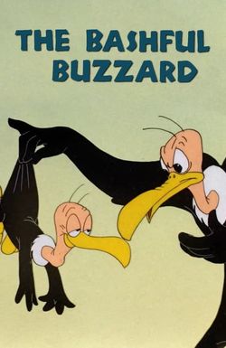 The Bashful Buzzard