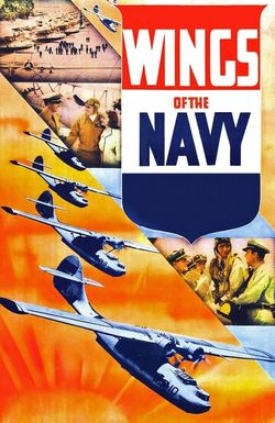 Wings of the Navy