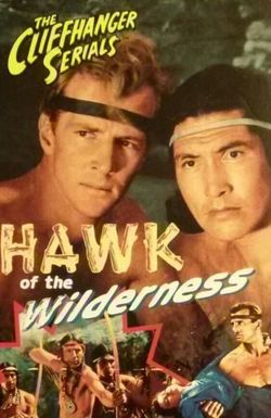 Hawk of the Wilderness