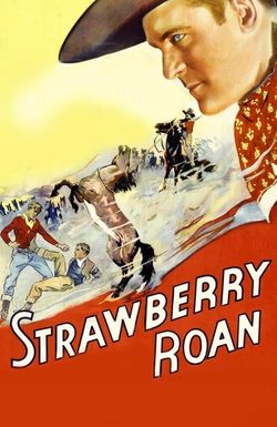 Strawberry Roan