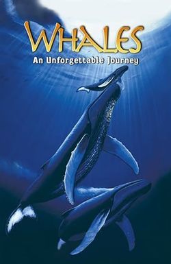 Whales: An Unforgettable Journey