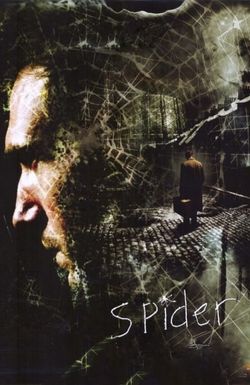 Spider
