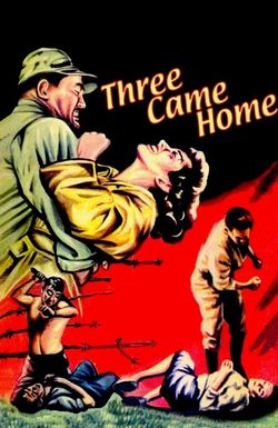 Three Came Home