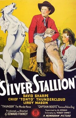 Silver Stallion