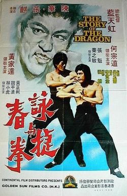 Bruce Lee: A Dragon Story