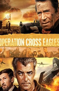 Operation Cross Eagles