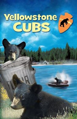 Yellowstone Cubs