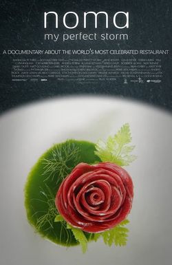 Noma: My Perfect Storm