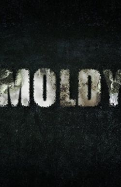 Moldy
