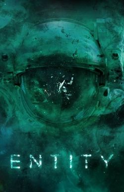Entity