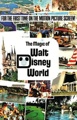 The Magic of Walt Disney World