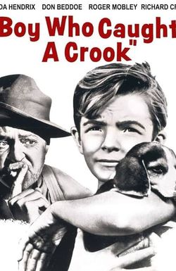 Boy Who Caught a Crook