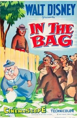 In the Bag
