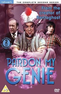 Pardon My Genie