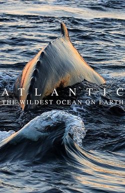 Atlantic: The Wildest Ocean on Earth