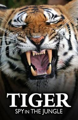 Tiger: Spy in the Jungle