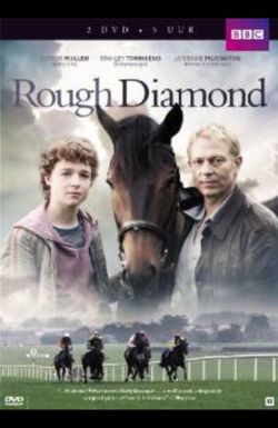 Rough Diamond