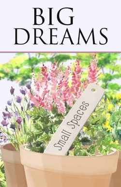 Big Dreams, Small Spaces