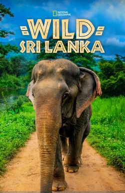 Wild Sri Lanka