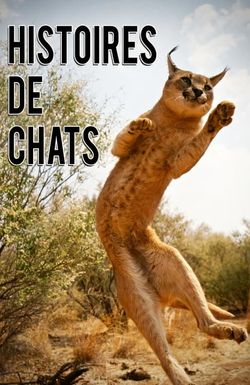 The Story of Cats
