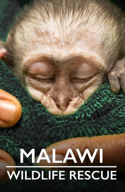 Malawi Wildlife Rescue