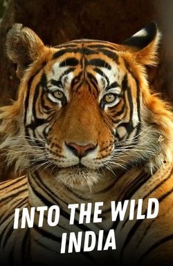 Into the Wild: India