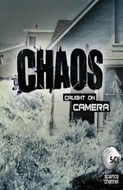 Chaos Caught on Camera