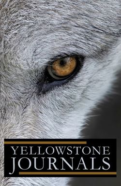 Yellowstone Journals