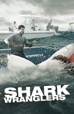 Shark Wranglers