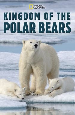 March of the Polar Bears