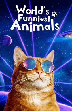 The World's Funniest Animals