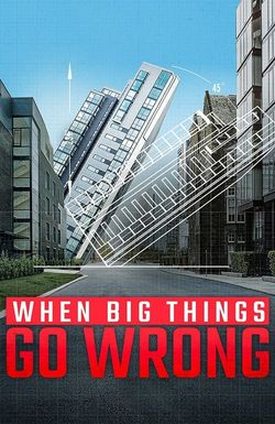 When Big Things Go Wrong