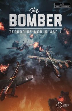 Bomber: Terror of WWII