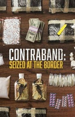 Contraband: Seized at the Border
