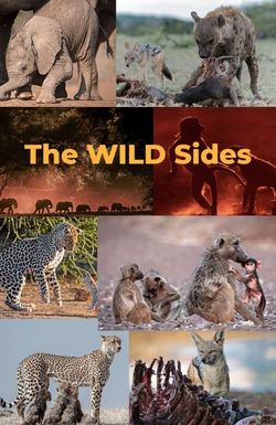 The Wild Sides