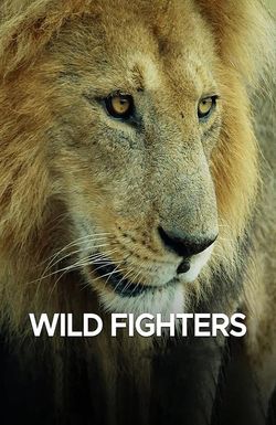 Wild Fighters