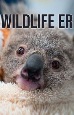 Wildlife ER
