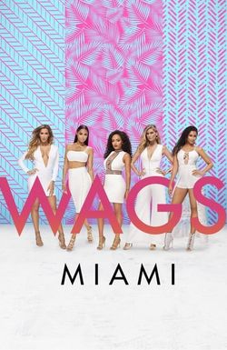 WAGS Miami