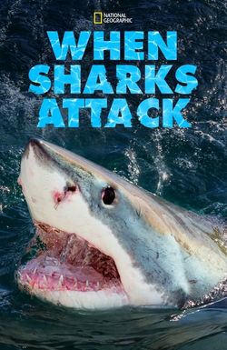 When Sharks Attack