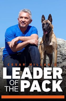 Cesar Millan's Leader of the Pack