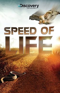Speed of Life